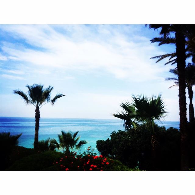Summer is finally here!💙🌴  summer  instapic  landscape ...