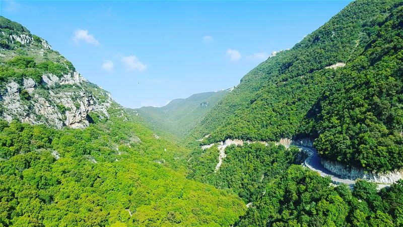 Summer is here green  valley  trees  blue  sky  landscape_lovers ...