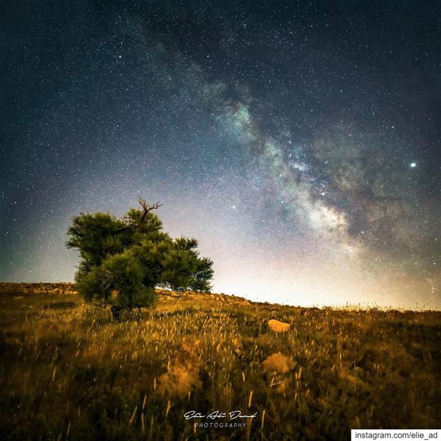 Summer = Milky Way Canon 5d iv, Samyang 16mm f2, ratio 1:1 milkyway ... (Qanat Bakish, Mont-Liban, Lebanon)