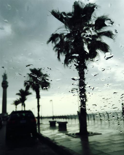 Summer Rain 💧  beautiful  beirut  wet  clean ...