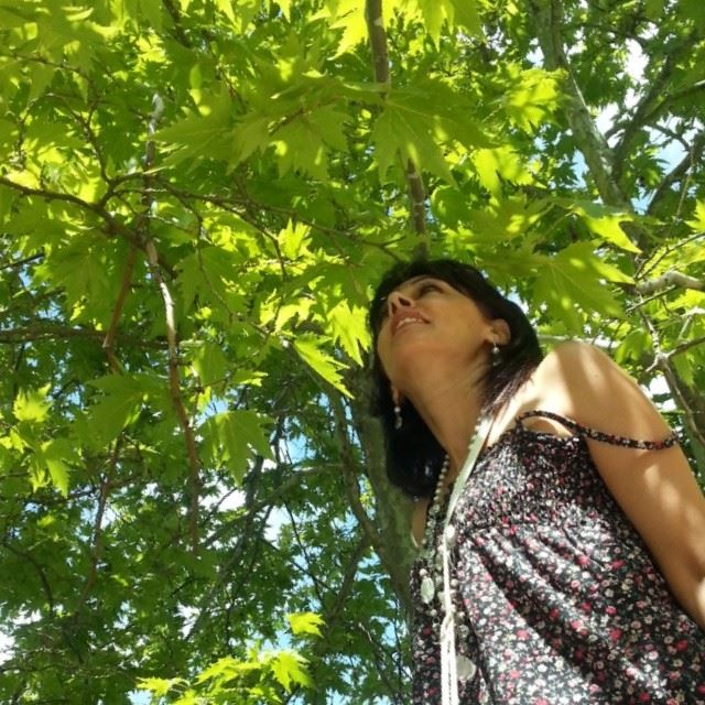 summer trees leaves green