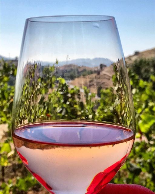  summer  wine  wineyard  sip  sky  photooftheday  instadaily  nature ...