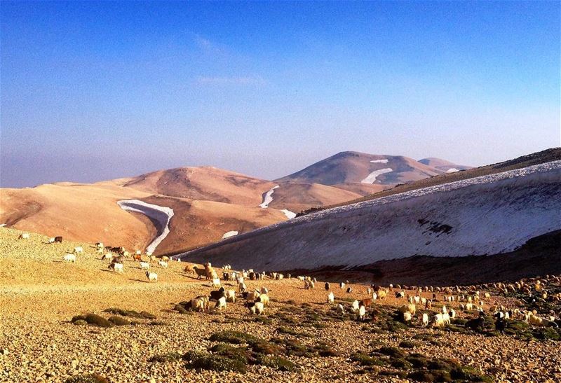 Summiting Qornet el Sawda - 3088m - Sunday 9 Jul 2017 -  makmel ...