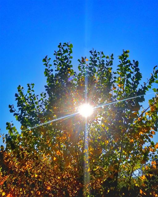 👌☀ sun rays 👍📷 LEBANON/AKKAR/berkayel♡ - 27/11/2018...