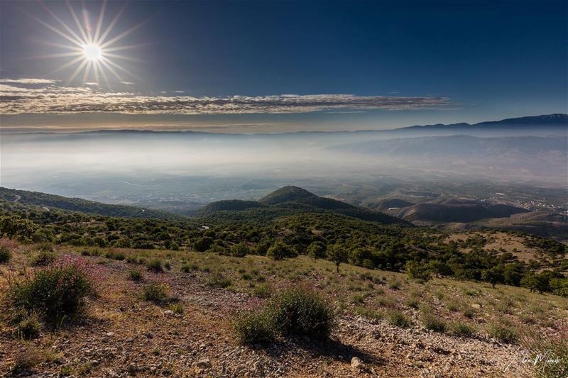  sun  star  shouf  lebanon  clouds  reserve  trees  canon  canonme ...