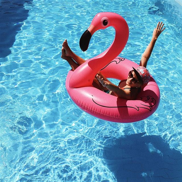 sunbathing 🐳  sundayfunday  sun  pool  sunday  water  fun  smile ... (Alley, Mont-Liban, Lebanon)