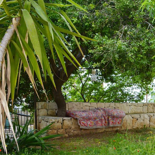 Sunday afternoon plans! 🌿🌴🌳🌷💤💤  loves_lebanon  super_lebanon  ... (Hosrayel, Mont-Liban, Lebanon)