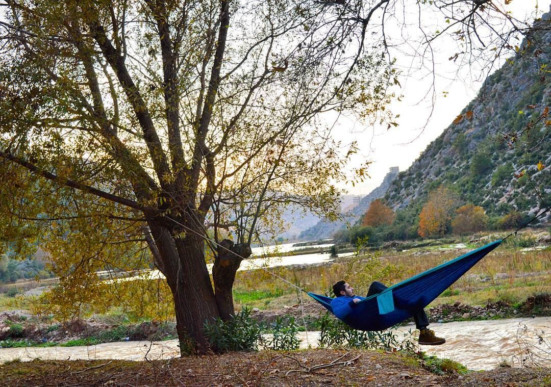 sunday autum winter river hammock tickettothemoon trees nature lagoone... (3youn el Samak)