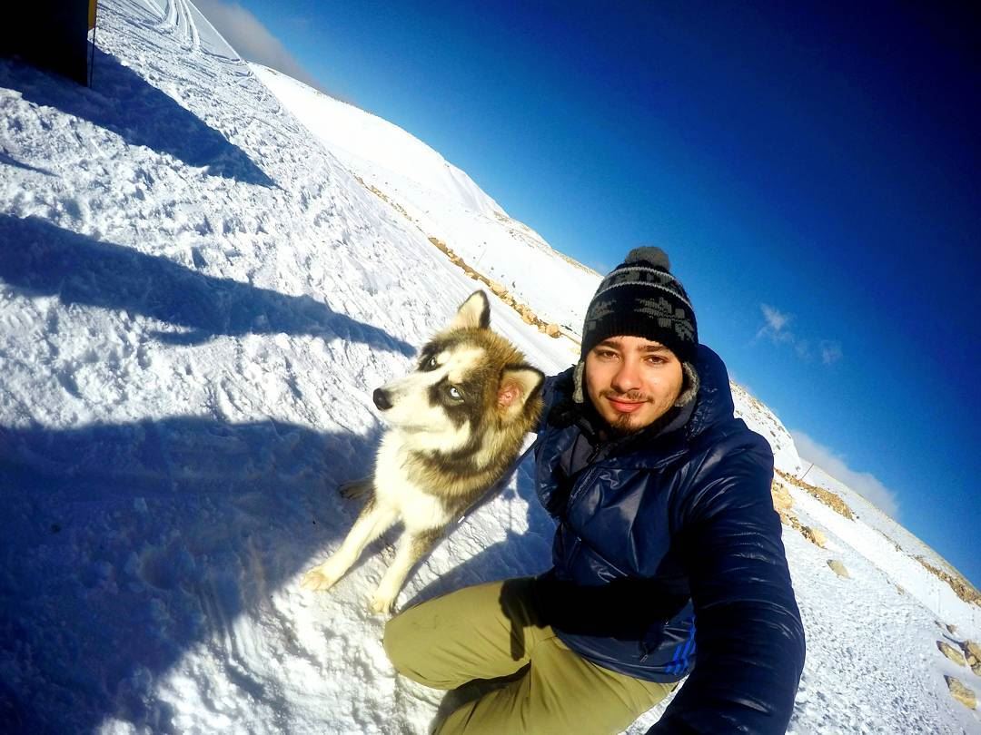  sunday camping camp hiking hike dogs animal husky russia cold freezing... (Aayoun El Siman)