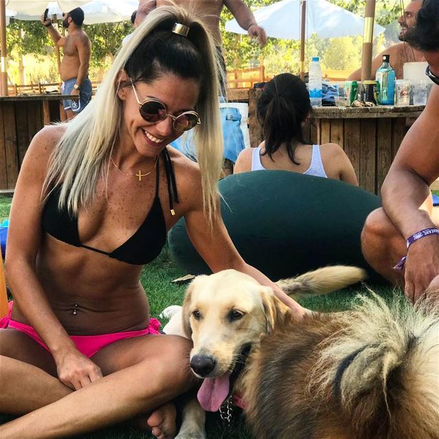 Sunday funday ❤ goldenretriever  summervibe  sundayfunday  fresh ... (The Field Lebanon)