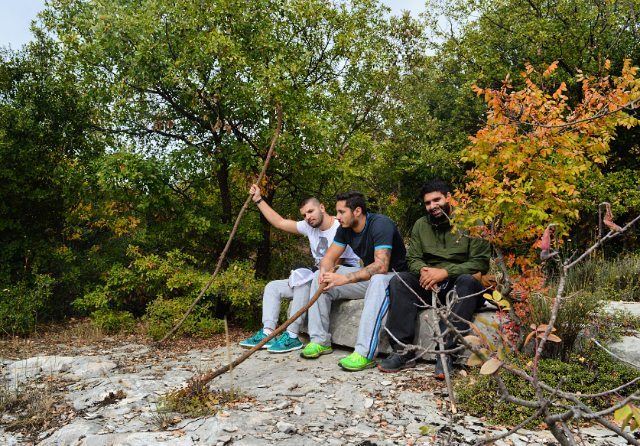  sunday hike hiking autumn nature forest colorful resting rock camp... (Bekaatat Kanaan)