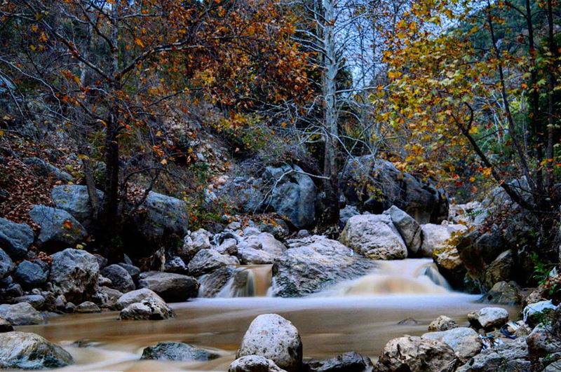  sunday hike hiking river valley  trees nature muddywaters mud autumn... (Wadi El Salib)