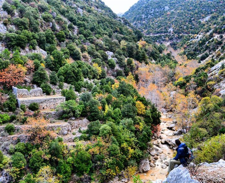  sunday hike hiking valley river trees forest nature mountains oldhouse...