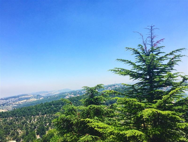 Sunday love in 💙💚 sunday  heart  blue  green  nature  trees ... (Annâya, Mont-Liban, Lebanon)