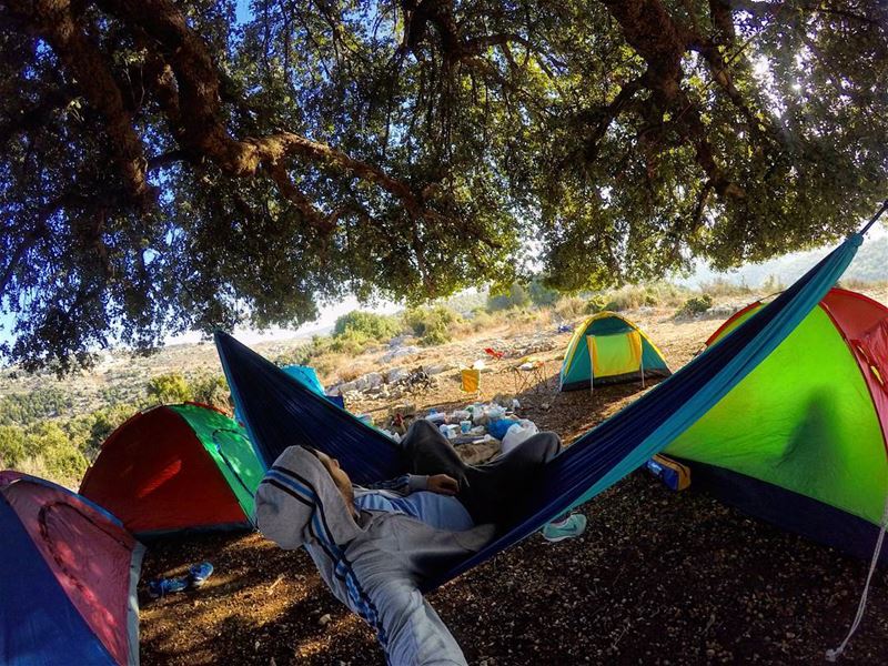  sunday morning camp camping hike hiking hammock tents autumn tree nature... (Mar Tedros-Mechmech)