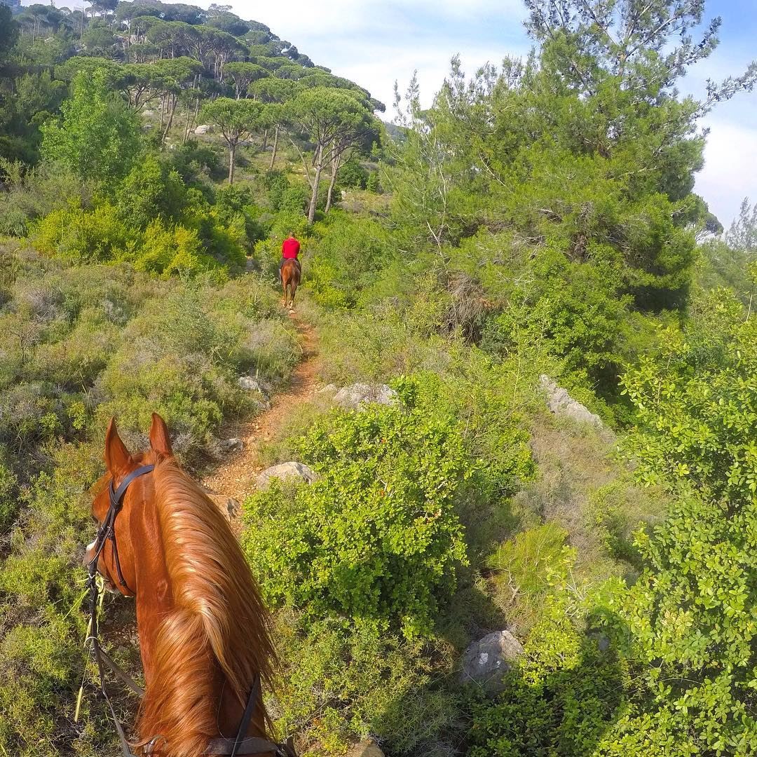  Sunday  ride 🐎••••• Lebanon  MyLifeAMoi  horse  horsebackriding ... (Beit Meri, Mont-Liban, Lebanon)