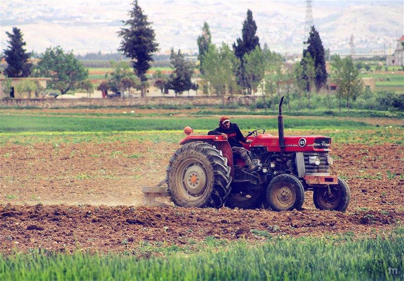 - Sunday Ride -... livelovebekaa  livelovebaalbeck  bekaa ... (Bekaa Valley)