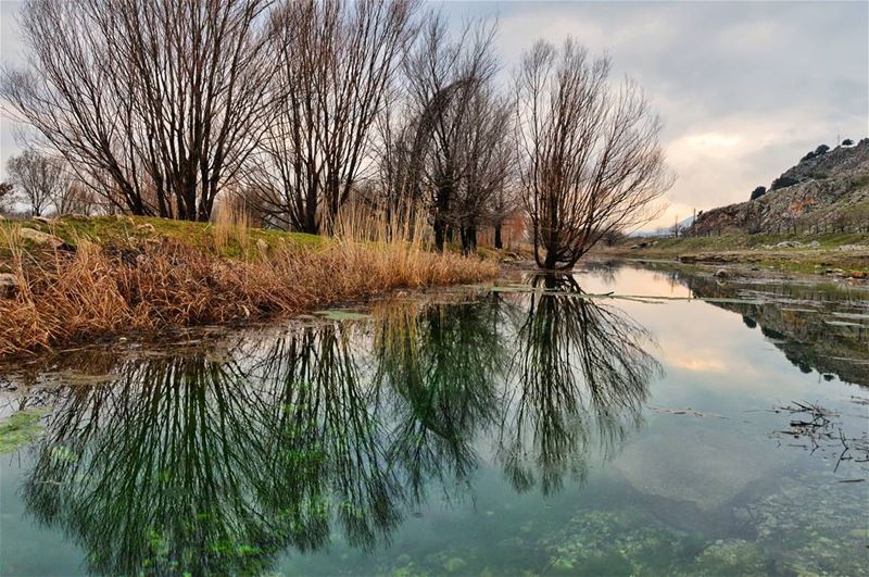 🍁📷.... sunday roadtrip road lagoone lake water reflection trees... (Bekaa Valley)