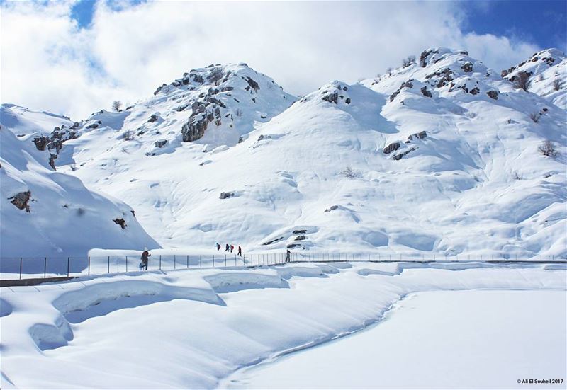  sunday  snowshoeing   laqlouq  snow  mountains  nature  hiking  winter ... (El Laqloûq, Mont-Liban, Lebanon)