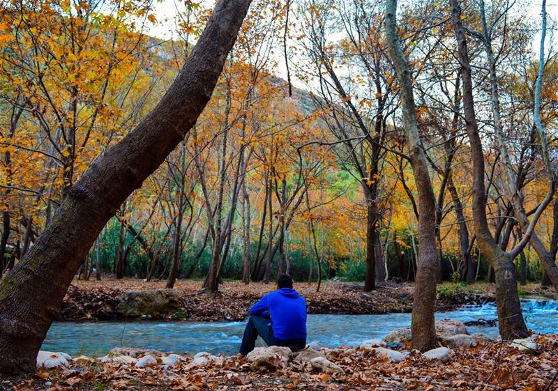  sunday trip roadtrip hiking hike river forest nature naturephotography... (Nahr Moussa)