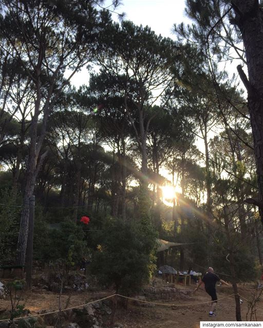  sundayfunday  weekendvibes  familytime  picnic  outdoors  nature ... (picnic land)