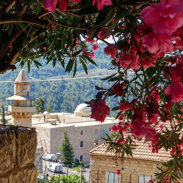 Sunny and warm with cooler evenings. Weather forecast for most of the... (Dayr Al Qamar, Mont-Liban, Lebanon)