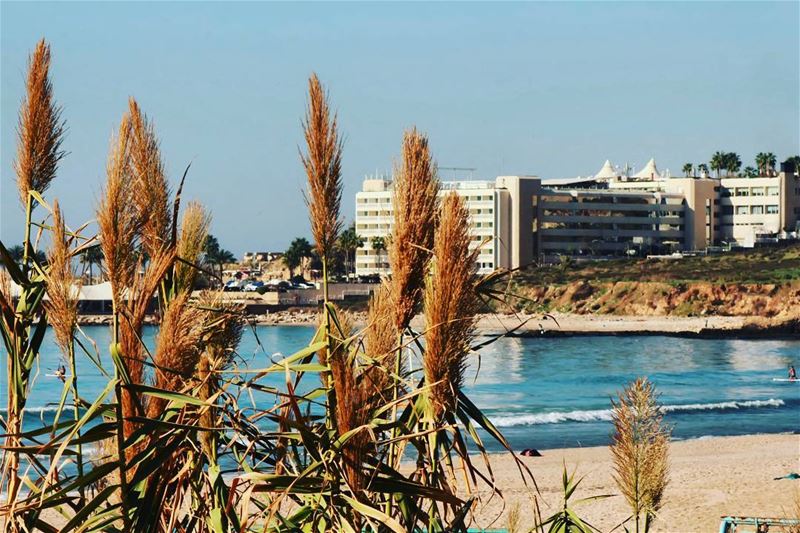 🌾🌊•••• sunny beachlife sea seaside seaview sealovers beach... (Ramlat Al Bayda', Beyrouth, Lebanon)