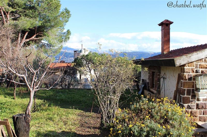  Sunny  day of  winter2016 house  chimney  garden  greenery  trees  roof ...