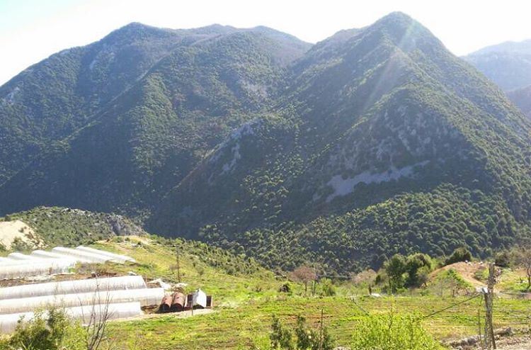 Sunny  JabalMoussa🌞  ecotourismlebanon  ecotourism  biodiversity  unesco... (Jabal Moussa)