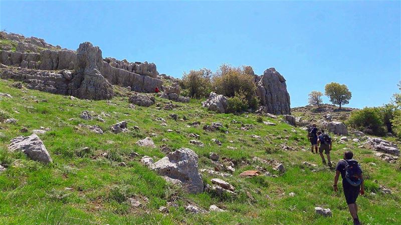 Sunny summer hikes 👌🌳......... myadventureslebanon  Lebanon ... (My Adventures Lebanon)