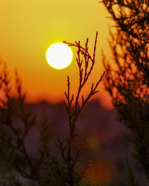 🌄🌄....... Sunrine sunshine Southern Lebanon nature landscape... (`Aynata, Al Janub, Lebanon)