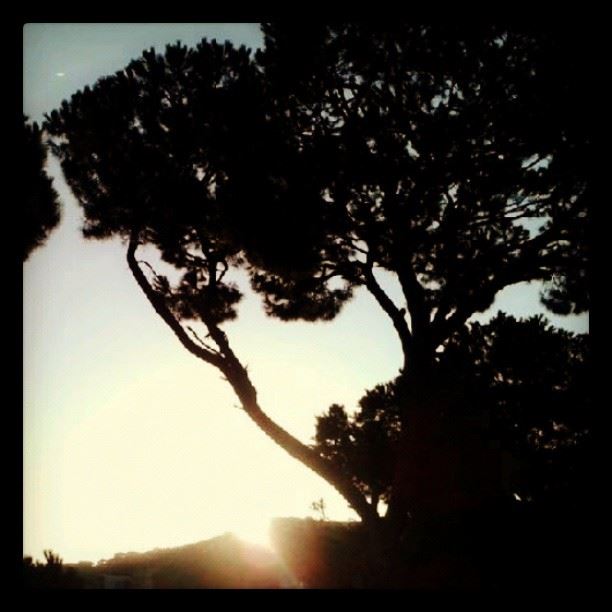 sunrise morning Lebanon sun mountains beautiful...