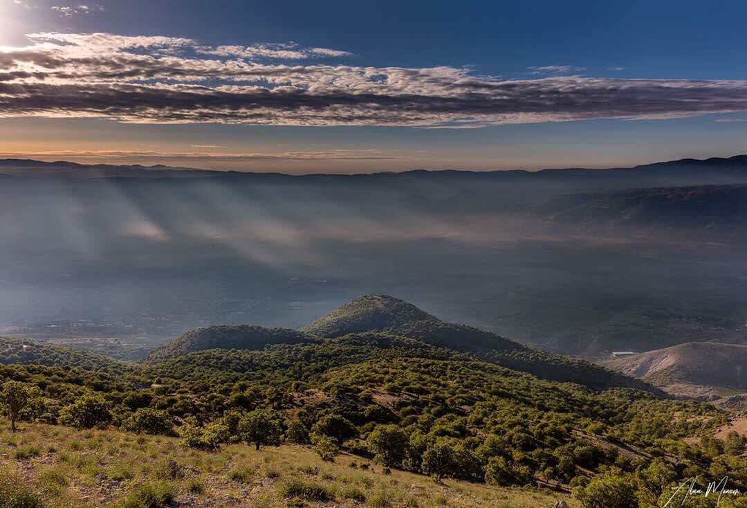  sunrise  mountain  lebanon  mountlebanon  shouf  cedar  biosphere ... (Shouf Biosphere Reserve)