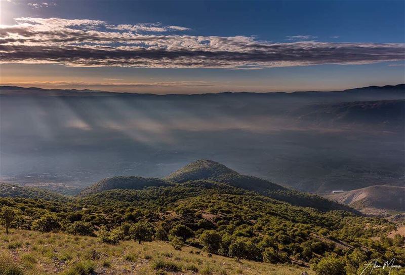  sunrise  mountain  lebanon  mountlebanon  shouf  cedar  biosphere ... (Shouf Biosphere Reserve)