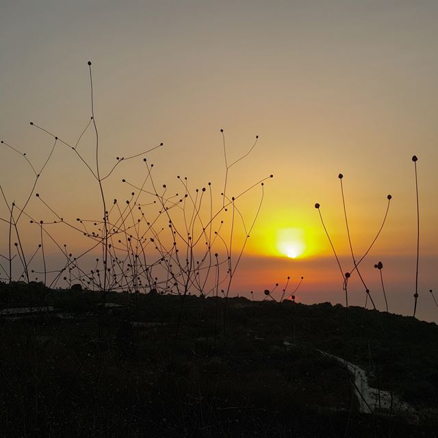 Sunset at Al Koura, North of Lebanon