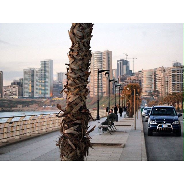  Sunset  Beirut  26  february  2015  Lebanon  ramletelbayda  wearelebanon ...
