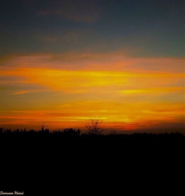  sunset  colors  tree  landscapephotography ...