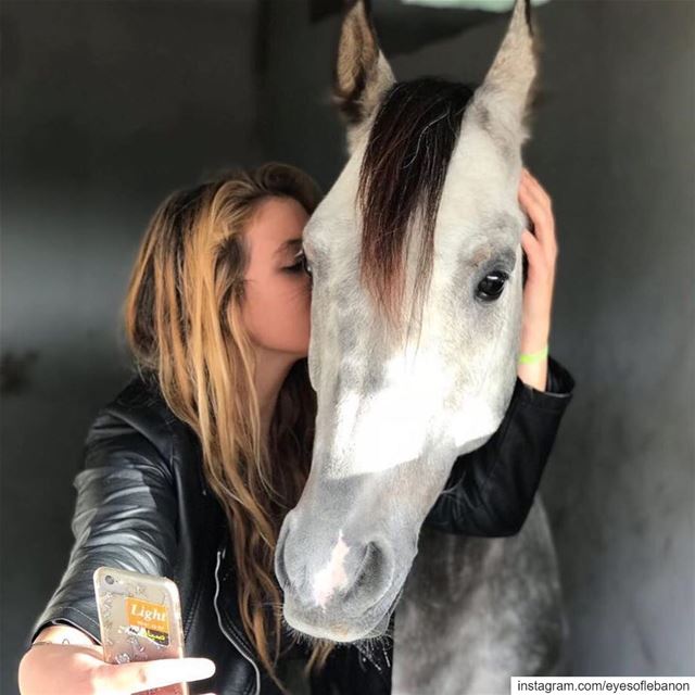 Sunset Competition!A horse doesn't care how much you know until he knows... (Saïda, Al Janub, Lebanon)