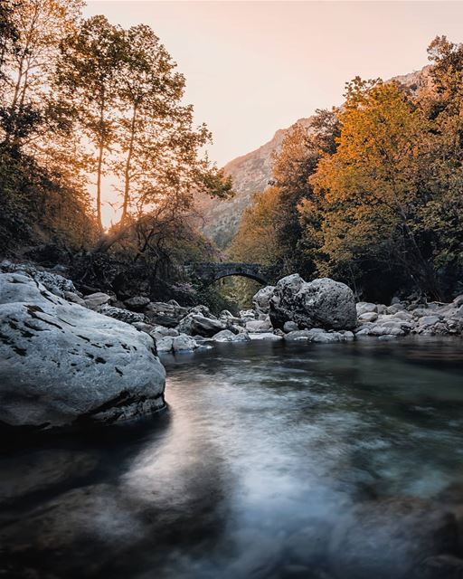  sunset  forest  lebanon  green  summer  river  trees   nature  snapshot ... (Nahr Ibrahim, Mont-Liban, Lebanon)