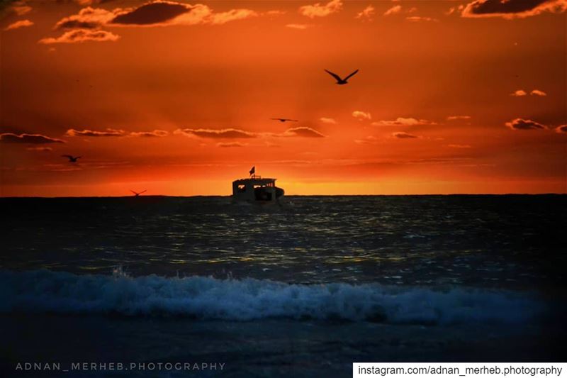 🌇 Sunset from mina❤️ sunset  sunrise  sun  TagsForLikes  TagsForLikesApp ... (كورنيش الميناء طرابلس)