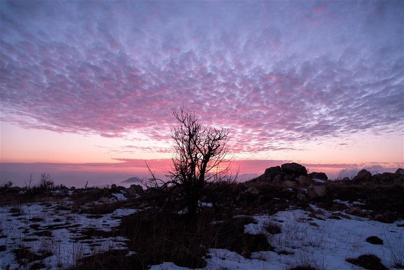 Sunset in Laklouk  livelovelaklouk  lebanoninapicture  ptk_lebanon ...