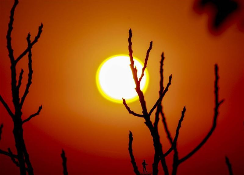 Sunset is the opening music of the night. sunset🌅  ig_sunset  sun...