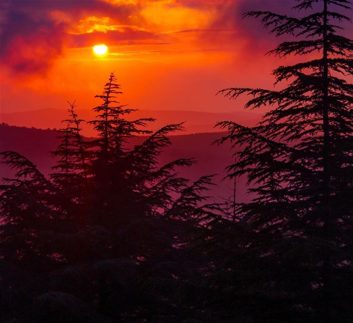 “Sunset is the opening music of the night” ... Sunset sunshine cloudy... (Al Shouf Cedar Nature Reserve)