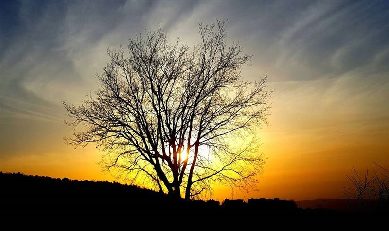 Sunset moods  livelovelebanon  livelovelife  livelovebeirut ...