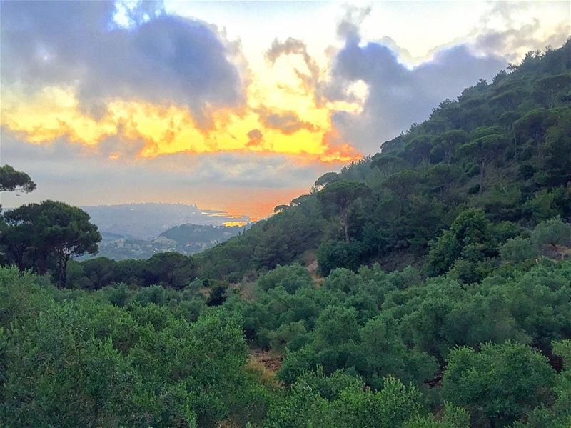  sunset  nature  naturelovers  green  pine  trees  clouds  cloudporn ... (Mar Chaaya)