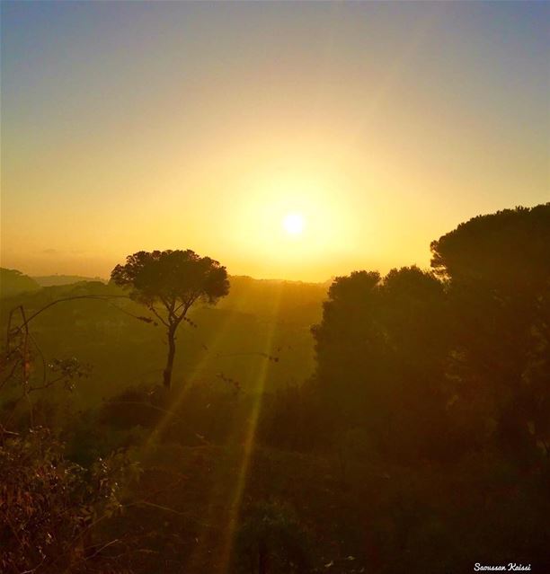  sunset  pinestrees  colors🎨  lebanon ...