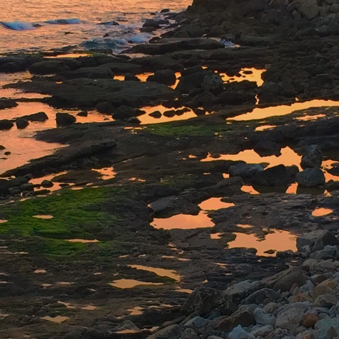 Sunset reflected into small sea puddles at the Mediterranean sea at Amchit... (Amchit)