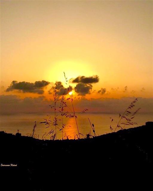  sunset  sea  colors  lebanon  reflection ...