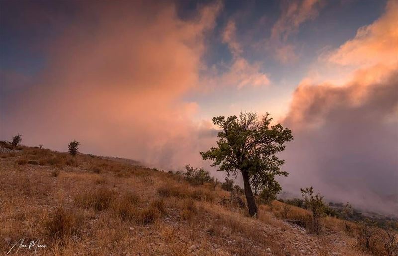  sunset  shouf  mountain  lebanon  nature  clouds  hiking ...