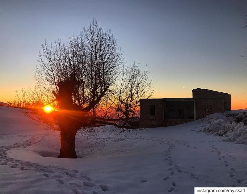 Sunset snowshoeing‼️.... ............... lebanon ... (Sunset Love)